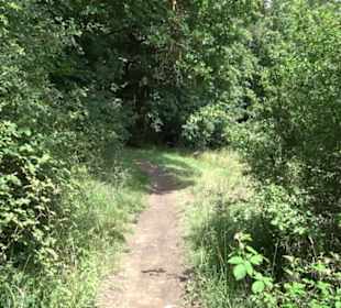 Schutzgebiet Spitzberg, Pfaffenberg