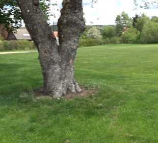 Turn- und Festhalle Stetten