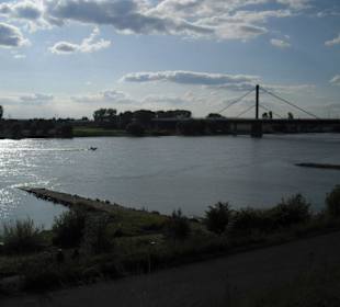 Neulandpark am Rhein