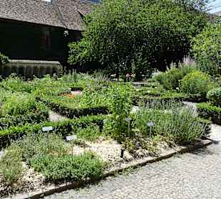 Krätuergarten zu Allerheiligen