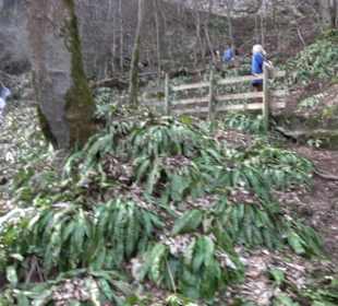 Wasserfallsteig