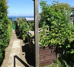 Rundgang durch die Schrebergarten-Kolonie