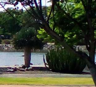 Botanischer Garten Maspalomas