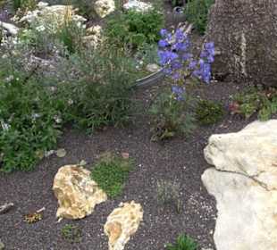 Blühendes Neresheim