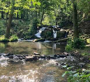 Wanderung Alexisbad - Selkefall