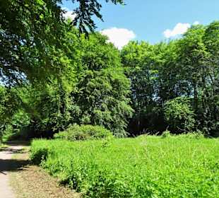 Eindrücke aus dem Wesselhöftpark
