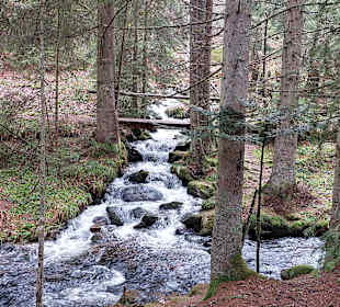 Wandern Frauengau