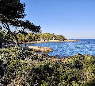 Strand Sa Font de Sa Cala