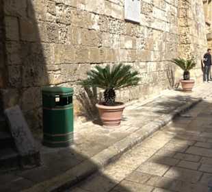 Naturhistorisches Museum