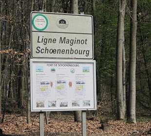 Das Ligne Maginot Fort Schoenenbourg