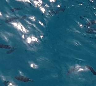 LABRANDA Royal Makadi