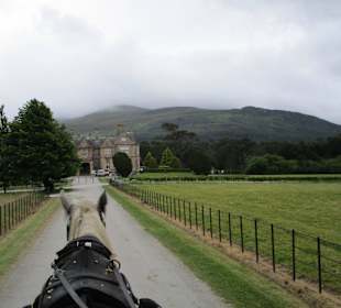 Pferdekutschenfahrten (Jaunting Cars)