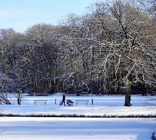 Winterspaziergang durch den Bürgerpark