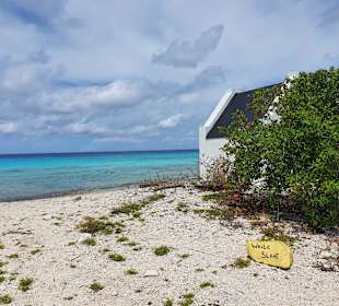 Rundfahrt Insel Bonaire