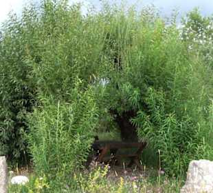 ALB-GOLD Naturgarten