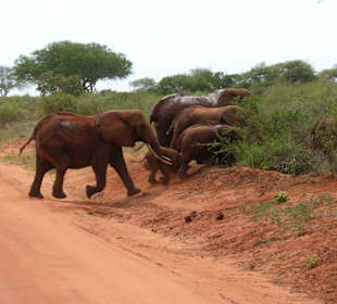 Berghoch müssen wir noch üben