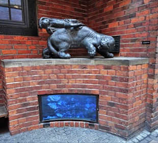 Kunstwerke von Hoetger über den Aquarien