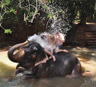 Farma słoni nieopodal hotelu