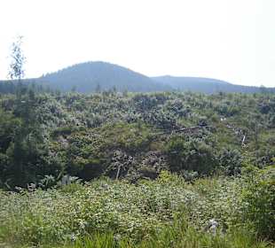 Parcul Natural Apuseni