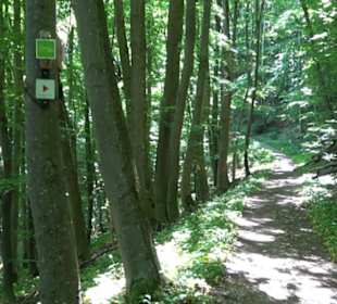 Premiumwanderweg "hochgelegen"