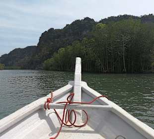 Mangroventour Peter Höfinger