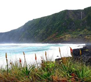 Inselrundfahrt Faial