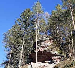 Neudahner Weiher in Dahn
