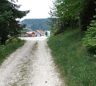 Waldlehrpfad in Tieringen