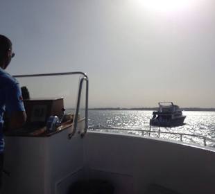 Der beste Bootsführer