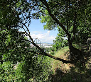 Cetatuia Park