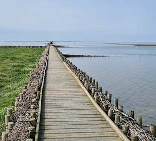 Wandern Emmelsbüll-Horsbüll
