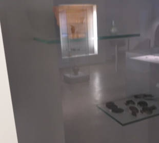 Museum für Vor- und Frühgeschichte