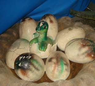 Im hinteren Zeltbereich