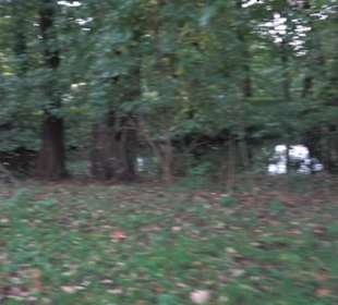 Schlosspark Charlottenburg