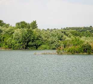 Das Ökoreservat am Lac de Villeneuve-de-la-Raho