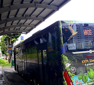 Shuttlebus
