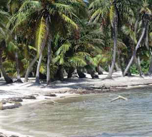 Strand außerhalb des Hotelgelädes