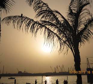 Sonnenuntergang an der Marina