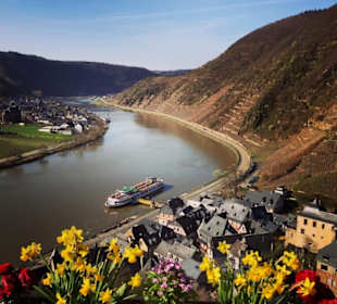 Aussicht von Burg Metternich