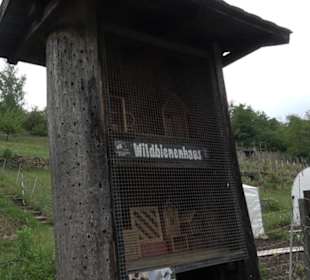 Naturinfopfad Weggental