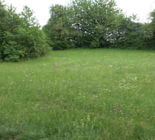 Naturinfopfad Weggental