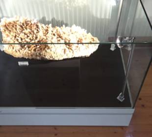 Museum für Mineralien und Mathematik