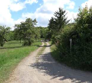 Wanderweg Ammerbucher Gigeleswegle