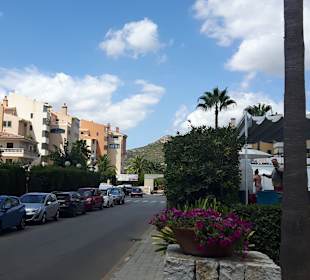 Stadtrundfahrt Cala Millor