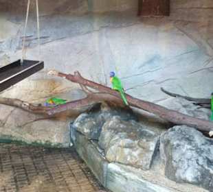 Allwetterzoo Münster