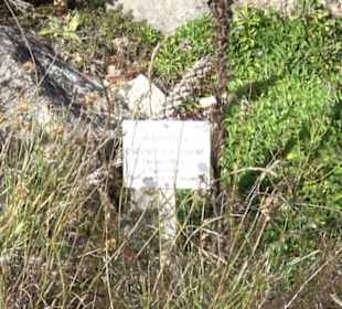 Alpinum