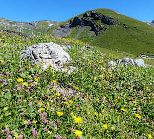 Toller angenehmer Weg