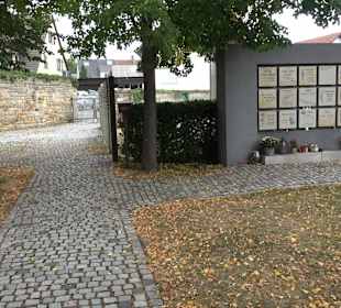 Friedhof