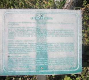 Kurpark Bad Bergzabern