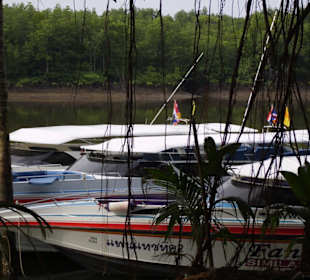 Boot von Fantastic Tours